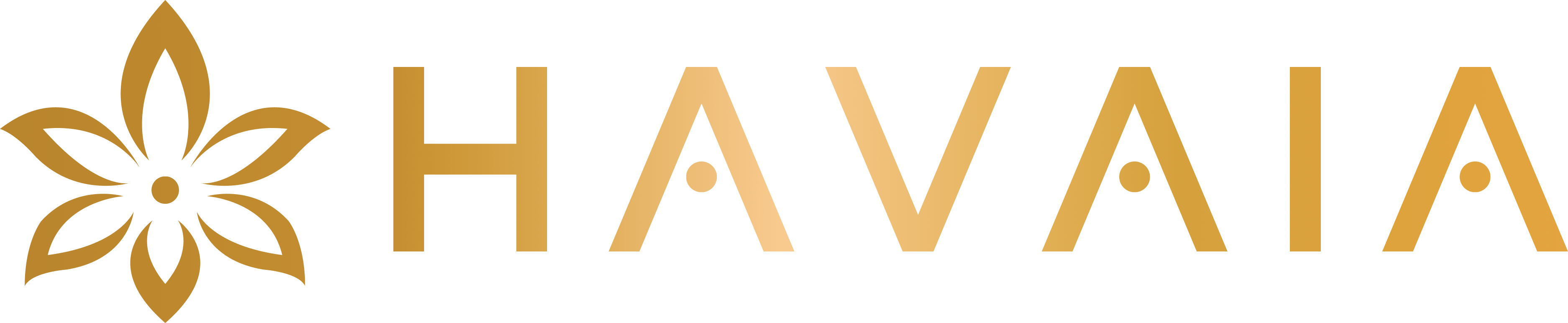 Havaia Group